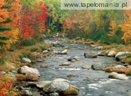 Autumn Colors, White Mountains, New Hampshire