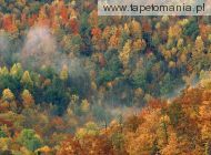 Colorful Autumn Forest, Great Smoky National Park, Tennessee, 