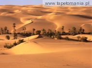 Desert Oasis, Libya