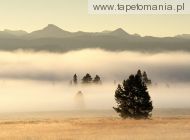 Fog at Sunrise, Pelican Valley, Yellowstone National Park, Wyoming, 