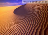 Gypsum Sand Dunes in Evening Light, New Mexico, 