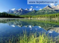 Herbert Lake and Bow Range, Canadian Rockies, Alberta, 