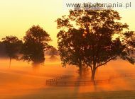 Horse Farm Sunrise, Versailles, Kentucky, 