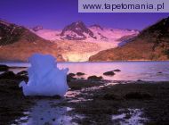 Icebergs at Sunrise, Derickson Bay, Alaska, 