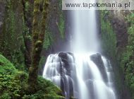 Kentucky Falls, Siuslaw National Forest, Oregon, 