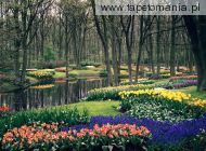 Keukenhof Gardens, Lisse, The Netherlands, 