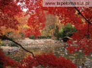Lithia Park in Autumn, Ashland, Oregon, 
