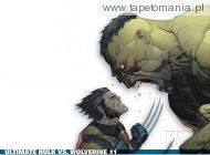 Hulk vs Wolverine, 