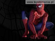Spider Man 1, 