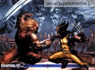 Wolverine 50