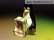 Linux 06, 