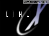 Linux 22