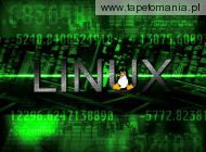 Linux 29, 
