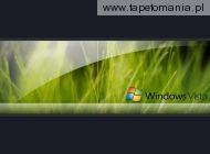 Windows Vista 020, 