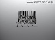 zebra g