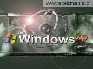windows xp 16, 