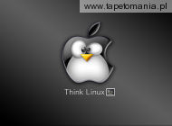 Think linux d, 