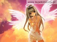 Angel of Fallen Star m14, 
