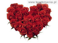 red roses heart, 