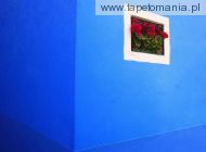 Flower Box Burano, 
