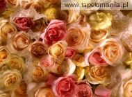 Rose Bridal Bouquet, 