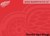 detroid red wings