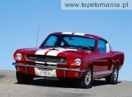 1966 Ford Mustang, 