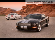 ford shelby gt m