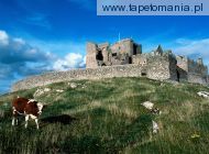 Cashel Castle, 
