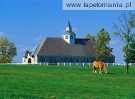 donamire horse farm