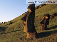 moai statues, 