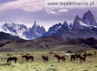 andes mountains, 